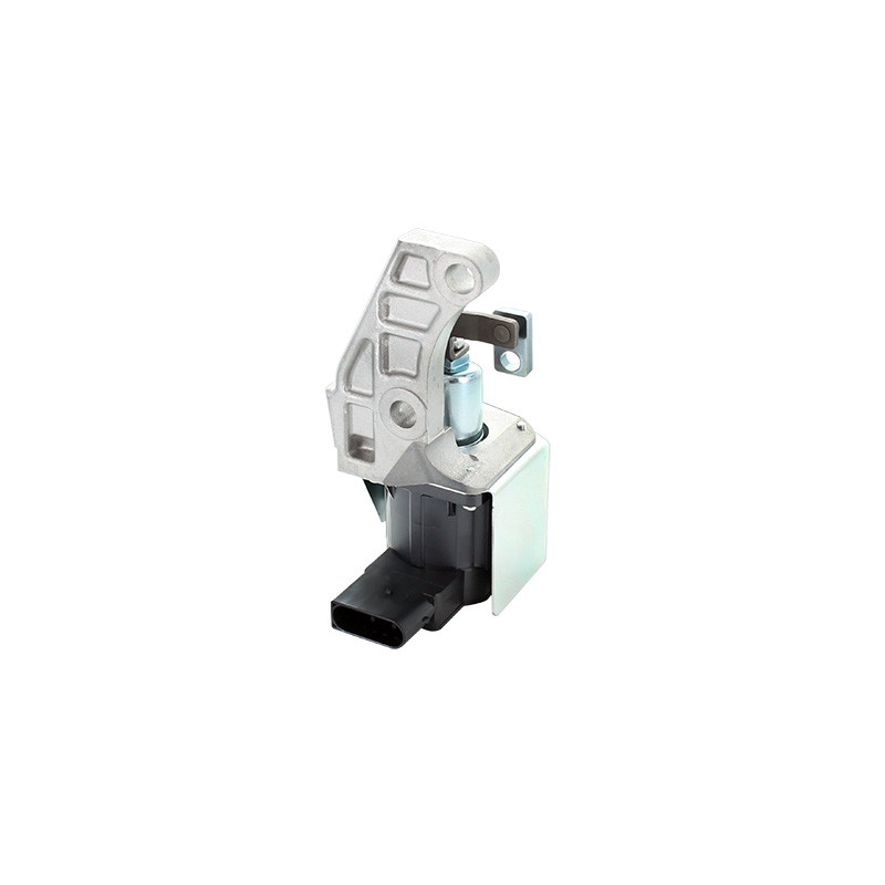Actuator Electronic BMW Seria 1, 3 - 120d, 318d, 320d - 1995 ccm, 120 kw, 163 hp